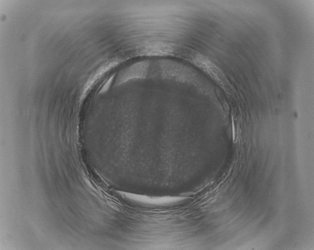 X0000070220531200606161709