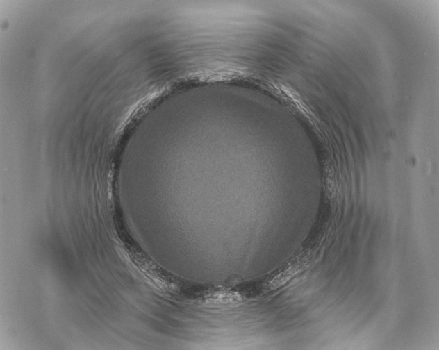 X0000070220543200606161709