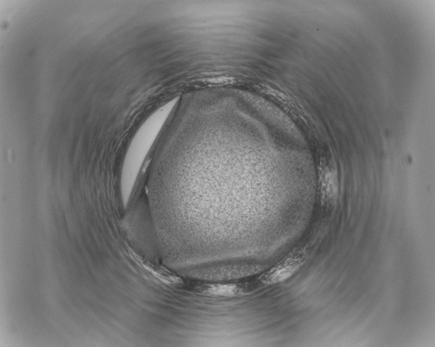 X0000070220609200606161709