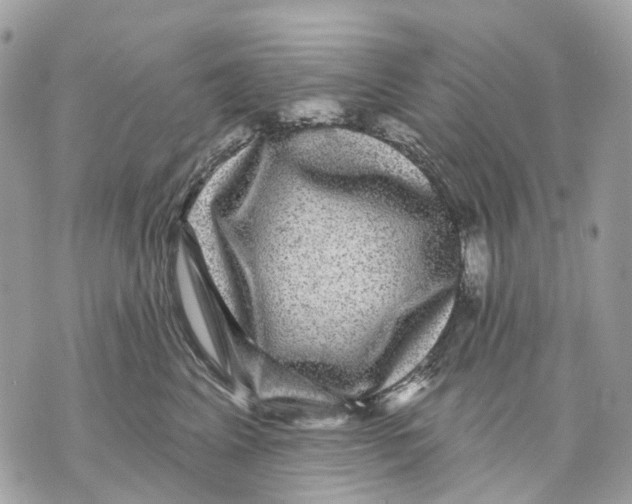 X0000070220617200606161709