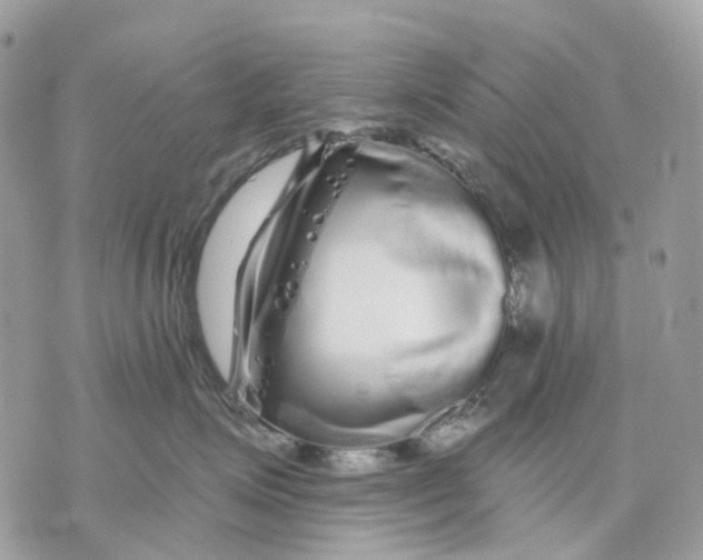 X0000070220623200606161708