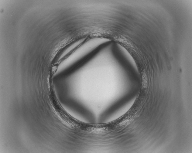 X0000070220638200606161708