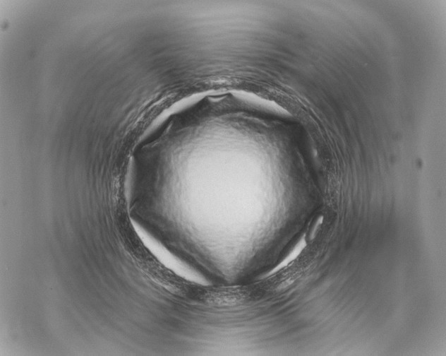 X0000070220652200606161708
