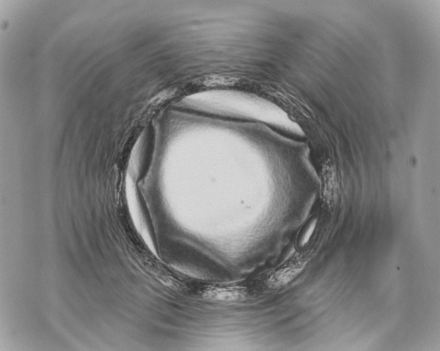 X0000070220655200606161708