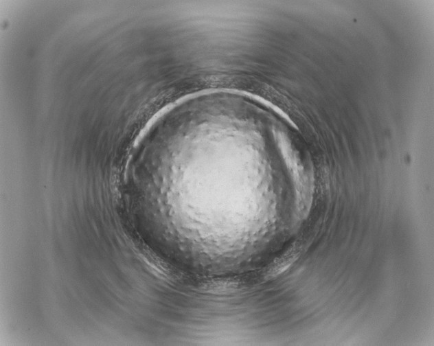 X0000070220664200606161708