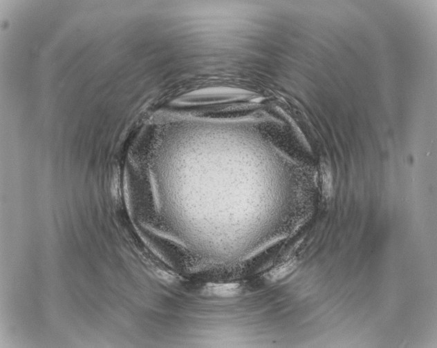 X0000070220665200606161708