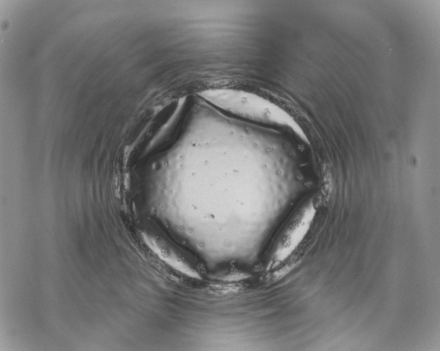 X0000070220667200606161708