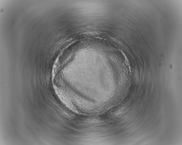 X0000070220668200606161708