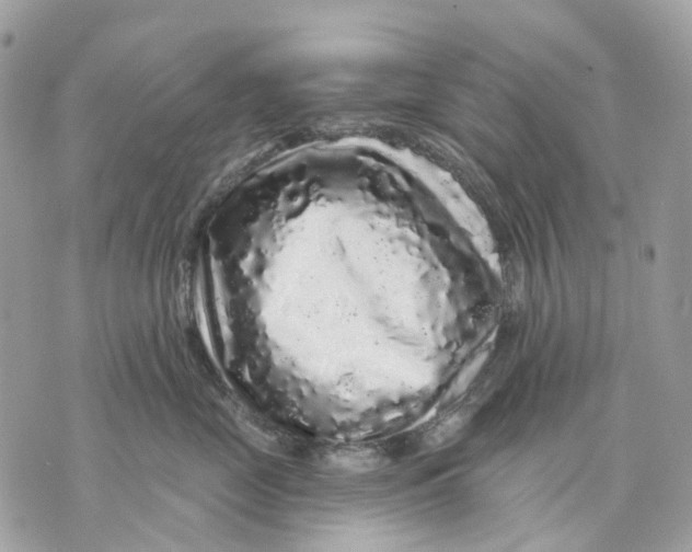 X0000070220669200606161708