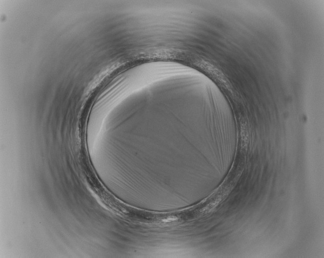 X0000070220674200606161708