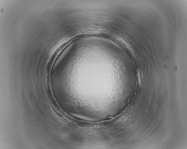 X0000070220675200606161708