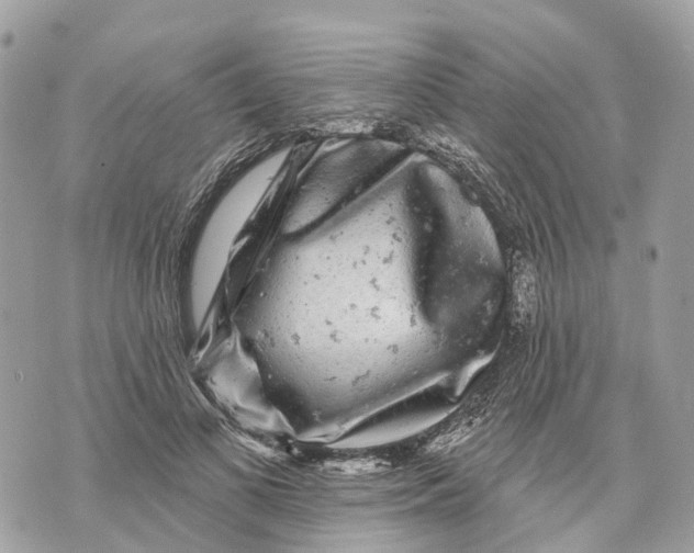 X0000070220693200606161707