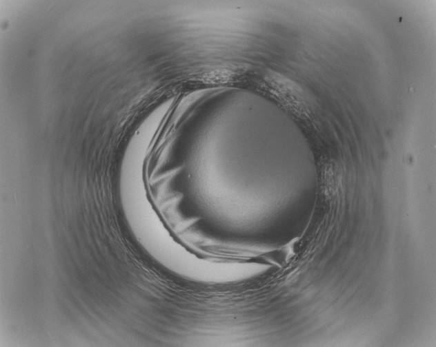 X0000070220697200606161707