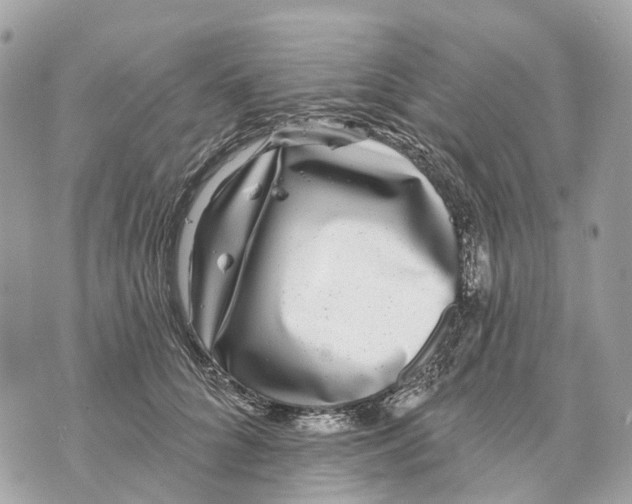 X0000070220704200606161707