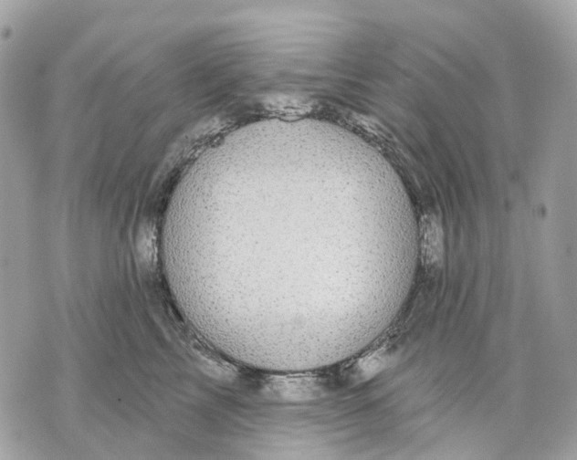 X0000070220713200606161707