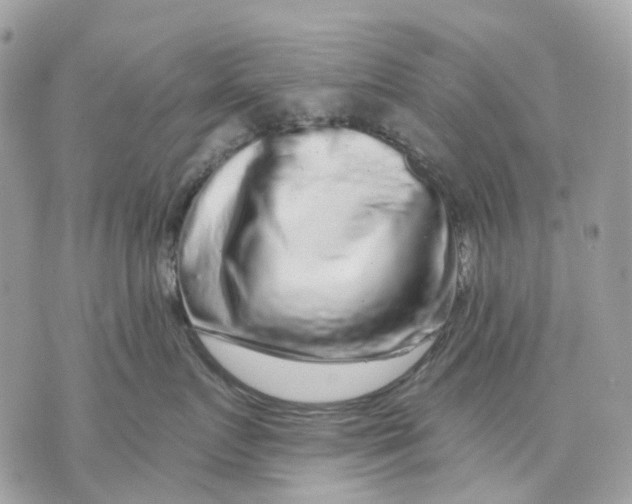 X0000070220719200606161707