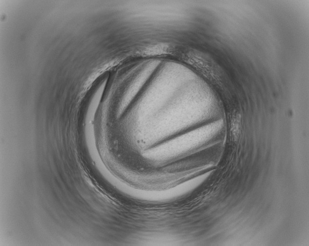 X0000070220732200606161706