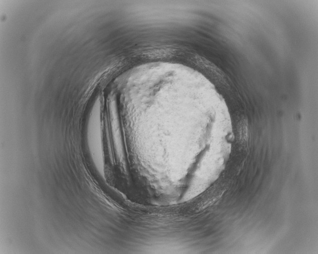 X0000070220733200606161706