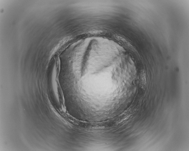 X0000070220734200606161706