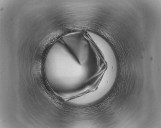 X0000070220735200606161706