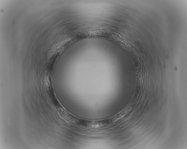 X0000070220746200606161707