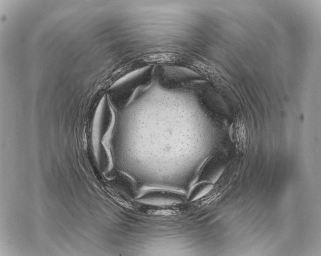 X0000070220751200606161707