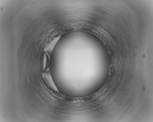X0000070220752200606161707