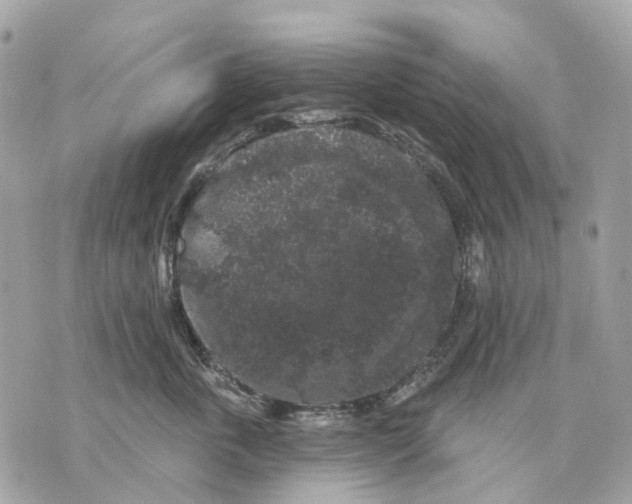X0000070220763200606161707