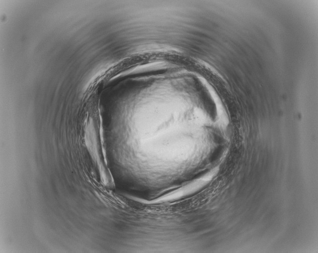 X0000070220775200606161706