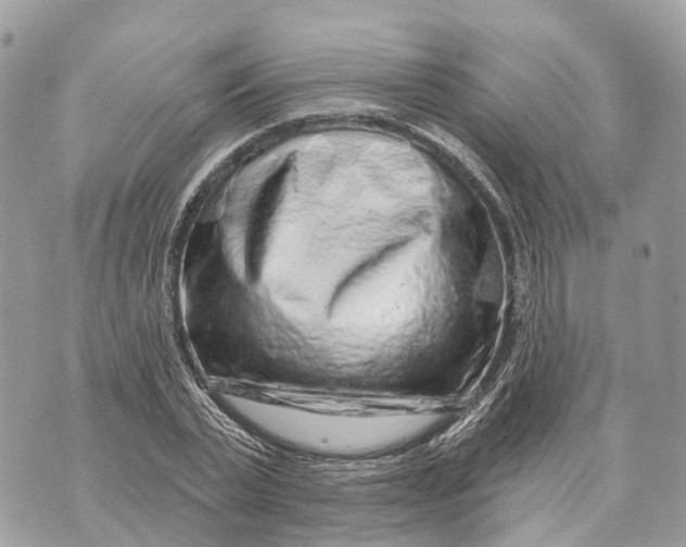 X0000070220783200606161706