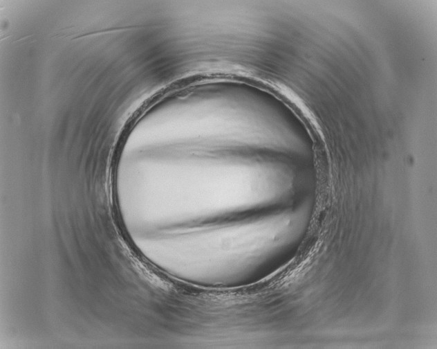 X0000070220791200606161706