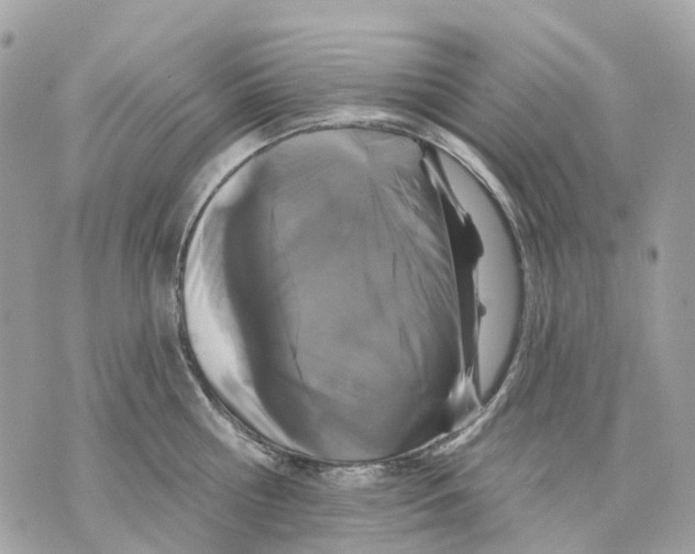 X0000070220810200606161705