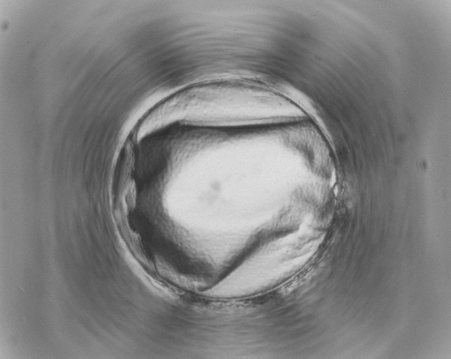 X0000070220811200606161705