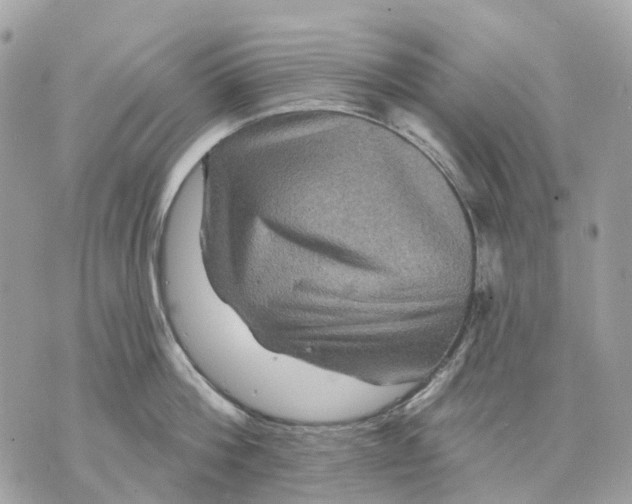X0000070220812200606161705