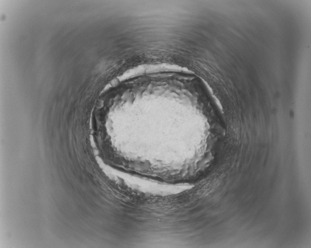 X0000070220817200606161704