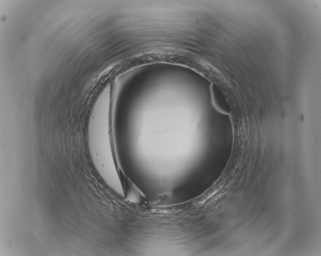 X0000070220822200606161705