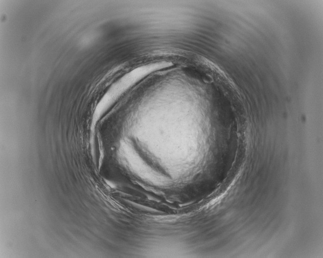X0000070220825200606161705