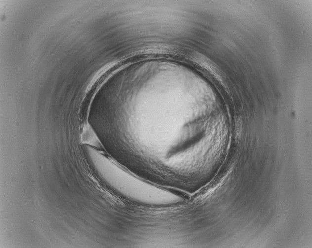 X0000070220829200606161705