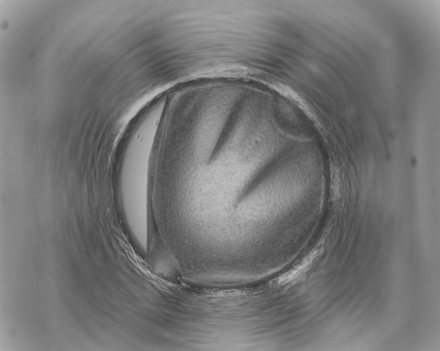 X0000070220830200606161705