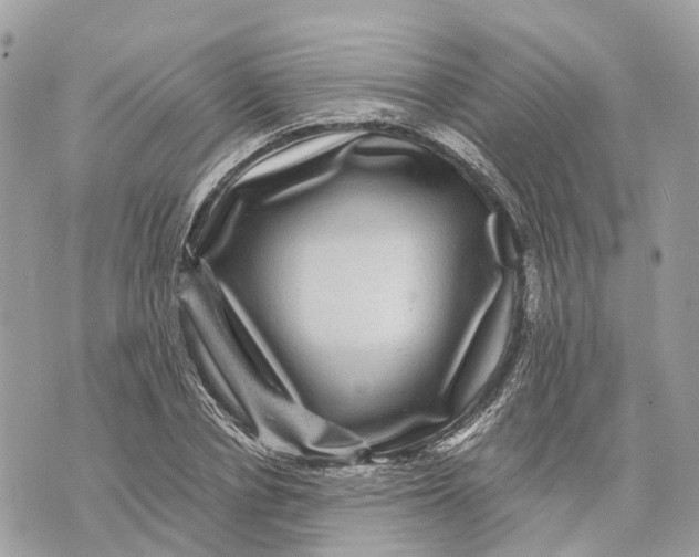 X0000070220834200606161705