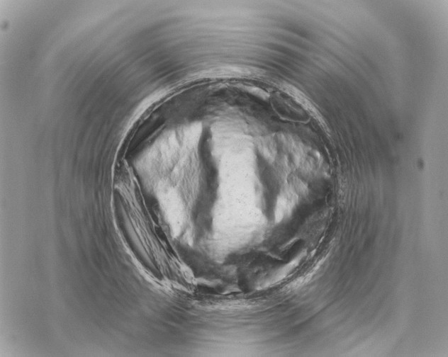 X0000070220845200606161705
