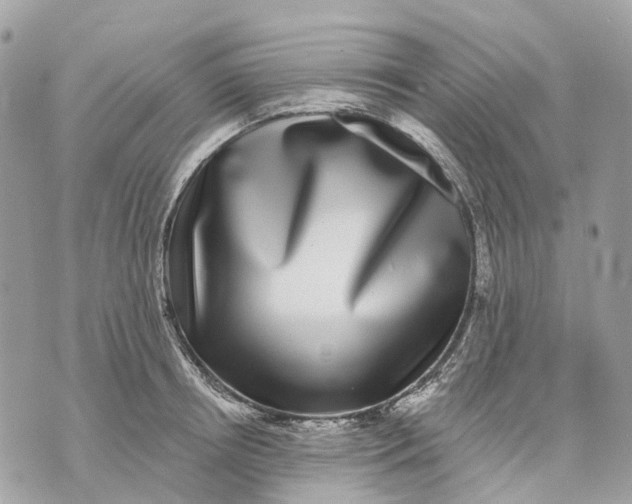 X0000070220850200606161705