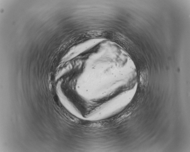 X0000070220867200606161704