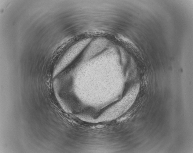 X0000070220870200606161704