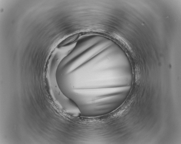 X0000070220876200606161704