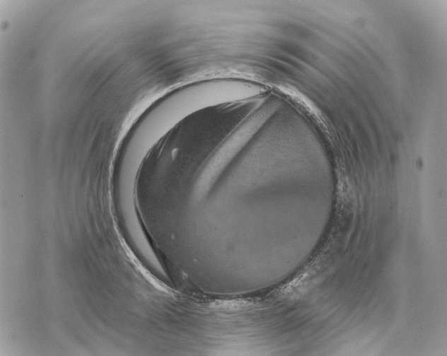 X0000070220894200606161704