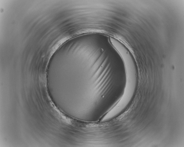 X0000070220898200606161704