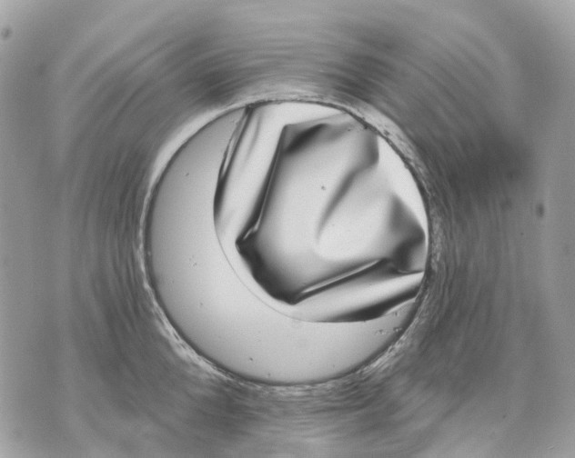 X0000070220904200606161704