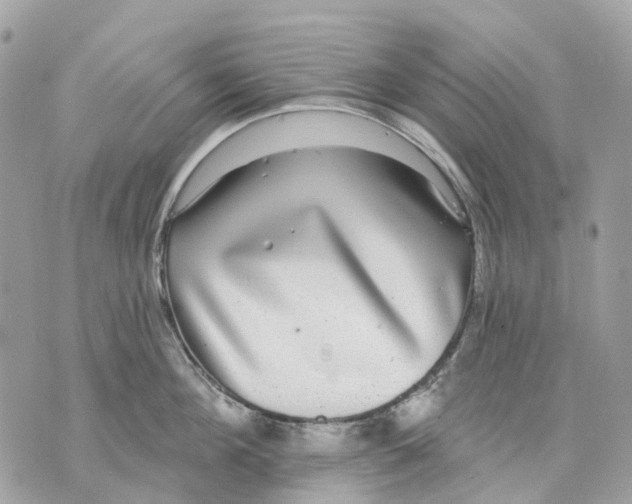 X0000070220908200606161704