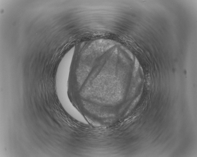 X0000070220916200606161703